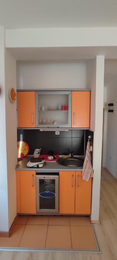 Apartments Vela - Pestani, Ohrid Bagian luar foto
