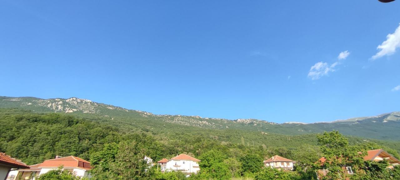 Apartments Vela - Pestani, Ohrid Bagian luar foto