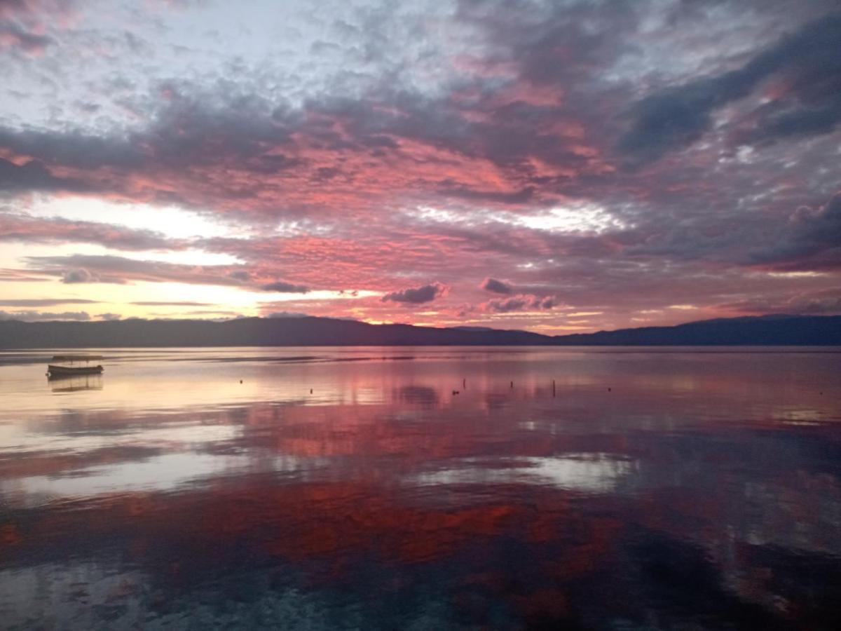 Apartments Vela - Pestani, Ohrid Bagian luar foto
